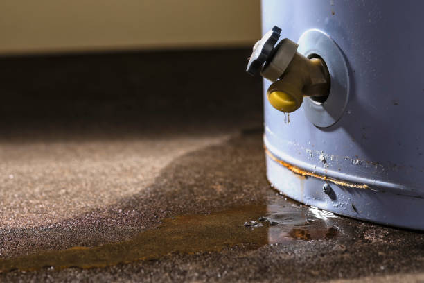 Water damage restoration process in Palos Heights, IL