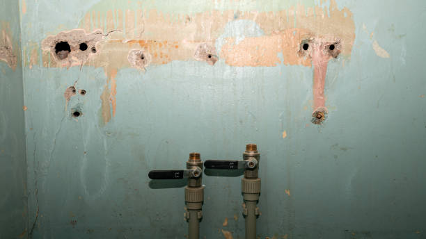 Best Carpet water damage restoration  in Palos Heights, IL