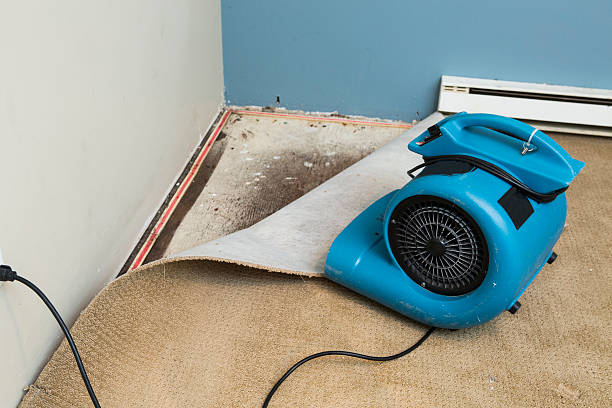 Best Basement water damage restoration  in Palos Heights, IL