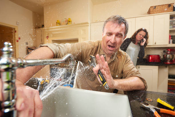 Best Basement water damage restoration  in Palos Heights, IL